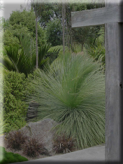 G B Xanthorea